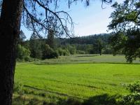 link to image diltciiknins7ankwot_flat_n_of_creek_to_wish_39_71918__123_50066_img_1013.jpg